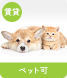【賃貸特集】坂東市周辺にあるペット可物件